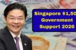 Singapore Government Support 2026